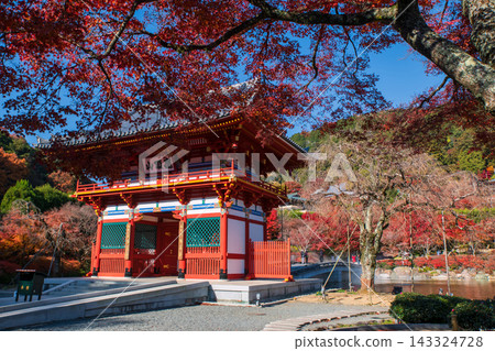 Katsuo-ji sanmon gate with autumn maple leaf garden, Minoo Katsuo-ji sanmon gate with autumn maple leaf garden, Minoo 143324728
