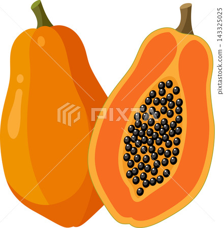 Illustration of one whole papaya on the left and one sliced papaya half with small black seeds. Illustration of one whole papaya on the left and one sliced papaya half with small black seeds. 143325025