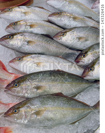 Amberjacks being sold Amberjacks being sold 143326416