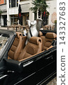 Silver bear sculpture inside convertible at Classic Days Berlin 143327683