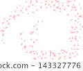 Cherry Blossom Fubuki 143327776