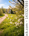 Sunlit spring lane to rustic cottage , generated, AI 143327893