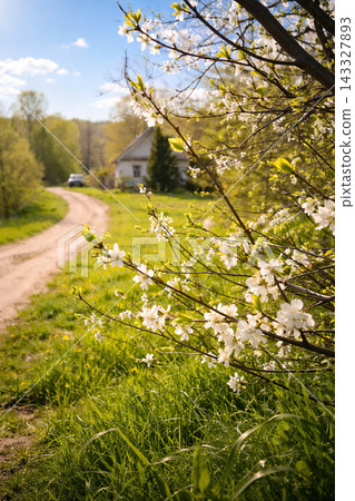 Sunlit spring lane to rustic cottage , generated, AI Sunlit spring lane to rustic cottage , generated, AI 143327893