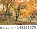Yosaku Park in Oita Prefecture, where the autumn leaves are at their peak. 143328079