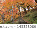 Autumn leaves of the park 143328080