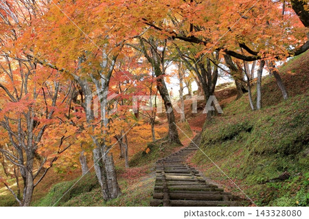 Autumn leaves of the park Autumn leaves of the park 143328080