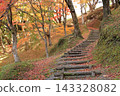 Autumn roads in Yosaku Park 143328082