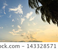 Silhouette coconut palm trees against colorful sky at sunset 143328571
