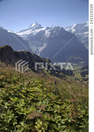 Swiss alps eiger mountains scenic summer landscape Swiss alps eiger mountains scenic summer landscape 143329109