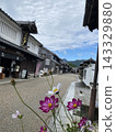 Sekiyado Cosmos 143329880