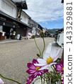 Cosmos flowers in the cityscape 143329881