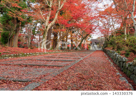 Autumn leaves scattered around Bishamondo Temple in Kyoto (Yamashina Ward, Kyoto City, Kyoto Prefecture) 143330376