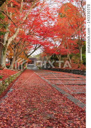 Autumn leaves scattered around Bishamondo Temple in Kyoto (Yamashina Ward, Kyoto City, Kyoto Prefecture) 143330378