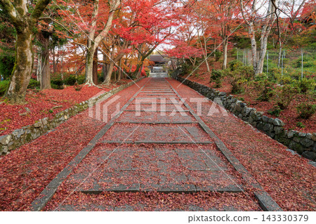 Autumn leaves scattered around Bishamondo Temple in Kyoto (Yamashina Ward, Kyoto City, Kyoto Prefecture) Autumn leaves scattered around Bishamondo Temple in Kyoto (Yamashina Ward, Kyoto City, Kyoto Prefecture) 143330379