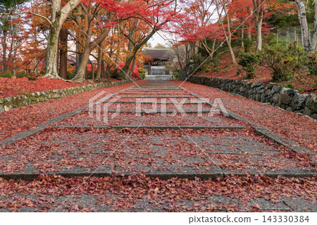 Autumn leaves scattered around Bishamondo Temple in Kyoto (Yamashina Ward, Kyoto City, Kyoto Prefecture) 143330384