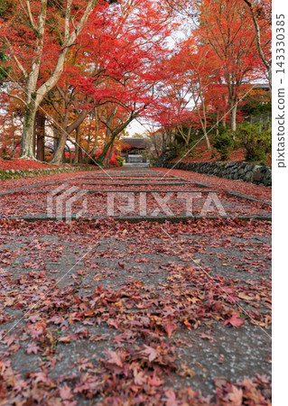 Autumn leaves scattered around Bishamondo Temple in Kyoto (Yamashina Ward, Kyoto City, Kyoto Prefecture) 143330385