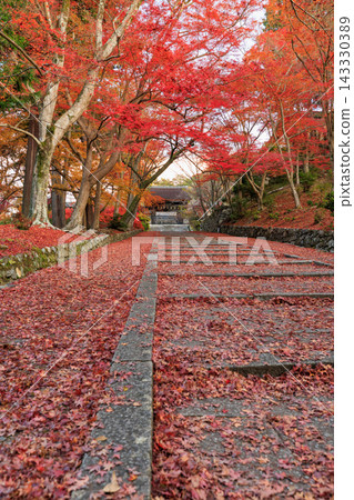 Autumn leaves scattered around Bishamondo Temple in Kyoto (Yamashina Ward, Kyoto City, Kyoto Prefecture) Autumn leaves scattered around Bishamondo Temple in Kyoto (Yamashina Ward, Kyoto City, Kyoto Prefecture) 143330389