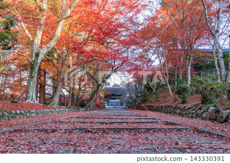 Autumn leaves scattered around Bishamondo Temple in Kyoto (Yamashina Ward, Kyoto City, Kyoto Prefecture) Autumn leaves scattered around Bishamondo Temple in Kyoto (Yamashina Ward, Kyoto City, Kyoto Prefecture) 143330391