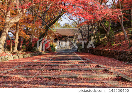 Autumn leaves scattered around Bishamondo Temple in Kyoto (Yamashina Ward, Kyoto City, Kyoto Prefecture) Autumn leaves scattered around Bishamondo Temple in Kyoto (Yamashina Ward, Kyoto City, Kyoto Prefecture) 143330400