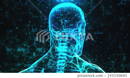 Digital human xray. Computer generated 3d render 143330693