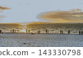 A photographic image of people gazing at the sea on a beach at sunset, with the water's surface shimmering, the white pebble beach, and the setting sun. 143330798