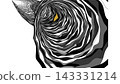 Black and white cat eye close-up illustration 143331214