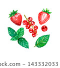 Strawberries, currants and mint leaves 143332033