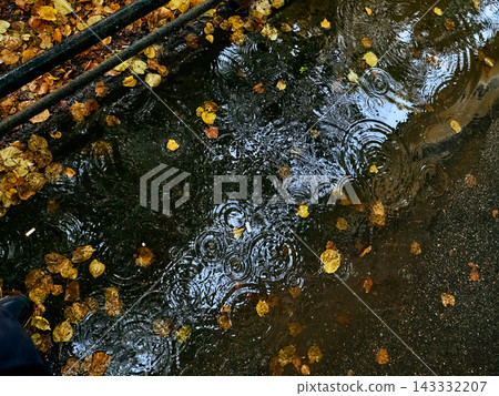 rain puddle street pipes, urban drainage water detail, autumn leaves wet pavement, partial figure footshot, city infrastructure rain scene rain puddle street pipes, urban drainage water detail, autumn leaves wet pavement, partial figure footshot, city infrastructure rain scene 143332207