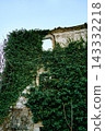 rectangular window empty opening, building wall weathered stone, thick ivy coverage facade, upper level section 143332218