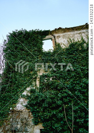 rectangular window empty opening, building wall weathered stone, thick ivy coverage facade, upper level section rectangular window empty opening, building wall weathered stone, thick ivy coverage facade, upper level section 143332218