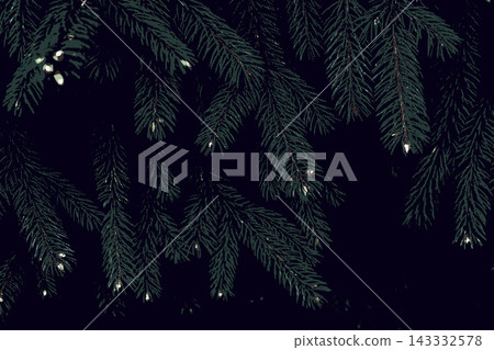 Abstract Dark Green Risograph Halftone Spruce Background for Psychedelic Christmas Design Abstract Dark Green Risograph Halftone Spruce Background for Psychedelic Christmas Design 143332578