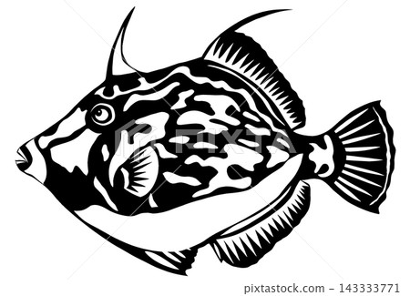 Filefish, filefish, fish, marine fish, high-class fish, sea creature, organism, cool, cool Filefish, filefish, fish, marine fish, high-class fish, sea creature, organism, cool, cool 143333771