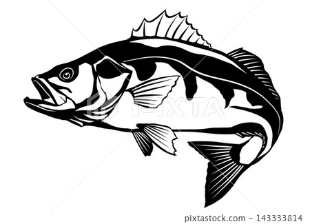 A paper-cut style illustration of a high-class fish, the sea bass, in black and white with a transparent background. A paper-cut style illustration of a high-class fish, the sea bass, in black and white with a transparent background. 143333814