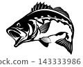Stylish black and white paper-cut style artwork of a largemouth bass 143333986
