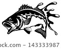 A sharp and cool black and white paper cutout illustration of a largemouth bass. 143333987