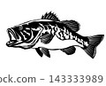 A cool black and white silhouette illustration of a freshwater fish, the bass. 143333989