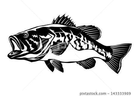 A cool black and white silhouette illustration of a freshwater fish, the bass. 143333989