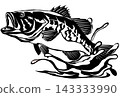 Black bass monochrome paper cutout art with transparent background. 143333990