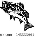 A sharp, modern Japanese-style illustration of a black bass in a paper-cut style. 143333991