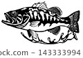 Stylish bus illustration in a paper-cut style with transparent background. 143333994