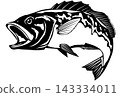 A sharp and cool black and white paper cutout illustration of a largemouth bass. 143334011