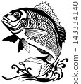 Stylish black and white paper-cut style art of a sea bream 143334140