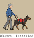 Senior Woman Walking with Cane and Doberman Pinscher Assistance Dog in Red Service Vest, Illustration.  143334188