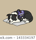Seizure Response Assistance Dog Sleeping on Mat, Border Collie Support Animal Illustration.  143334197