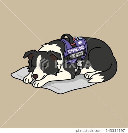Seizure Response Assistance Dog Sleeping on Mat, Border Collie Support Animal Illustration. Seizure Response Assistance Dog Sleeping on Mat, Border Collie Support Animal Illustration. 143334197