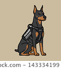 Doberman Pinscher Working Dog in GUARD and ASSISTANCE PRIVATE SECURITY Vest, Illustration.  143334199