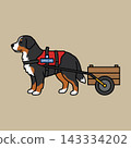 Bernese Mountain Dog Carting Service Animal Pulling Wooden Wagon Illustration.  143334202