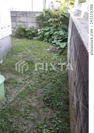 The backyard of a private house, overgrown with weeds. A corner surrounded by a concrete block wall. The backyard of a private house, overgrown with weeds. A corner surrounded by a concrete block wall. 143335266