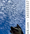 Sky and I 143335537
