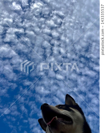 Sky and I Sky and I 143335537